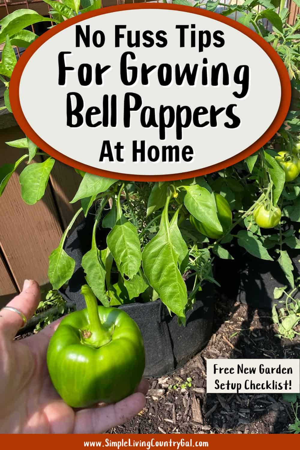 How to Grow Bell Peppers for Beginners: A Guide | Simple Living Country Gal