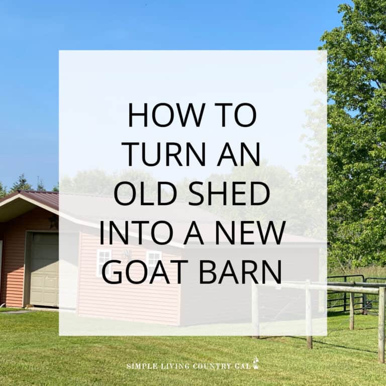 How To Convert A Shed Into A DIY Goat Barn