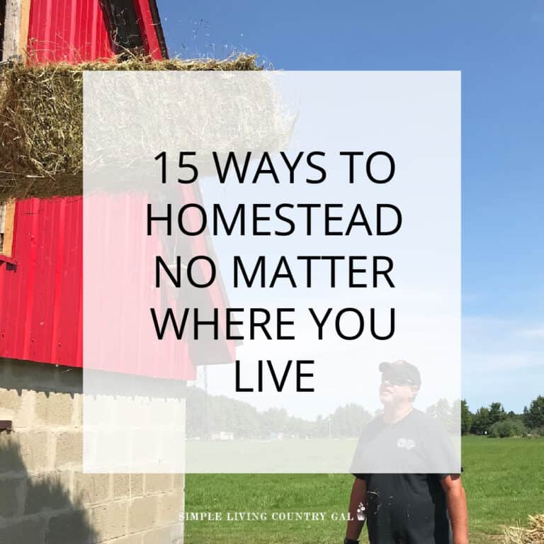 15 Ways To Homestead Anywhere