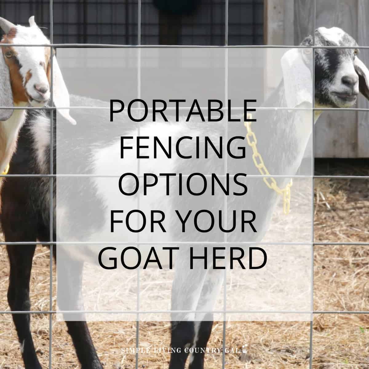 Portable goat fencing