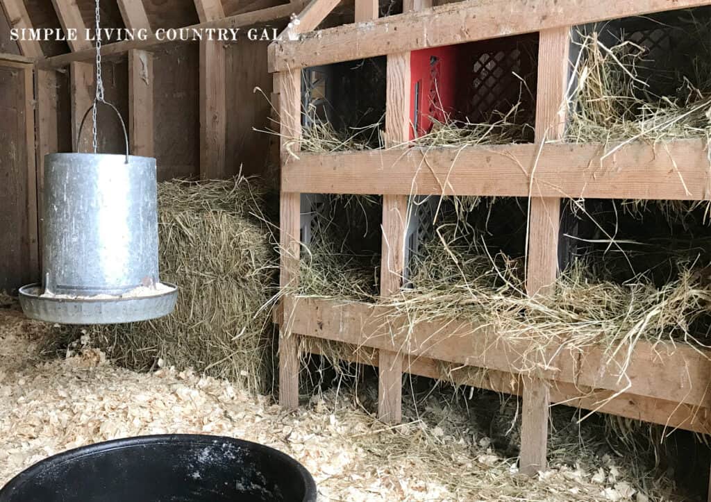 a chicken coop with nesting boxes, a metal feeder, and fresh bedding on the floor.