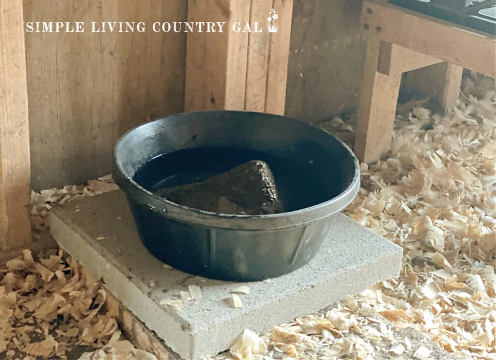 a rubber bowl filled with water on a cinder block with a rock inside