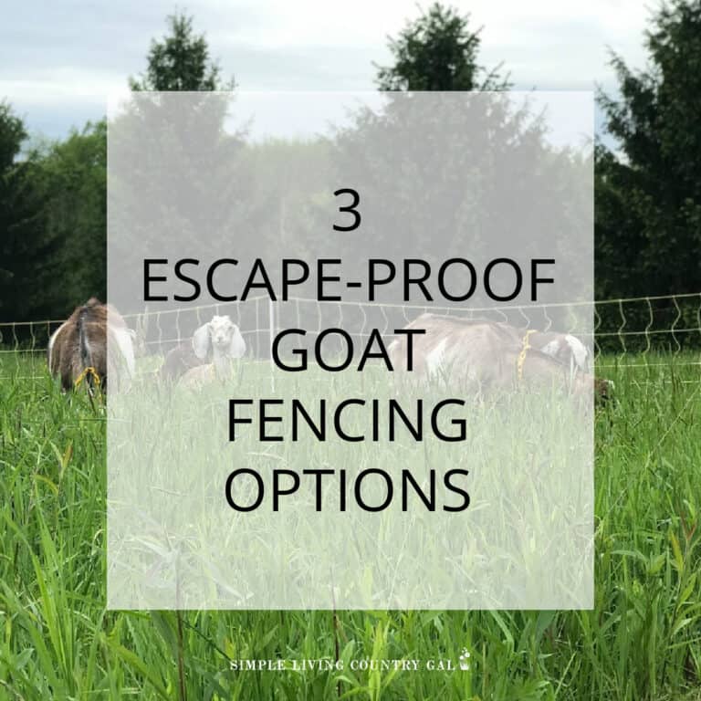Escape proof goat fencing