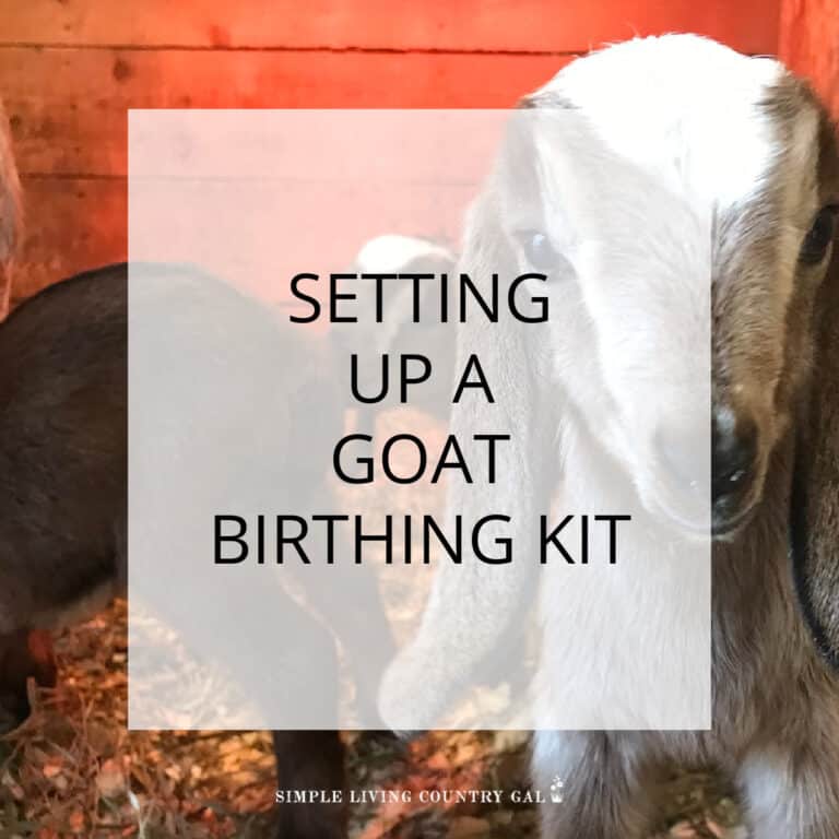 Putting Together A Goat Birthing Kit