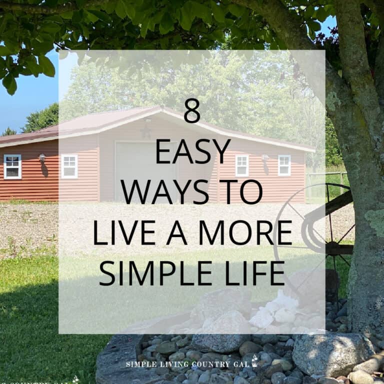 8 Ways to Live a Simple Life