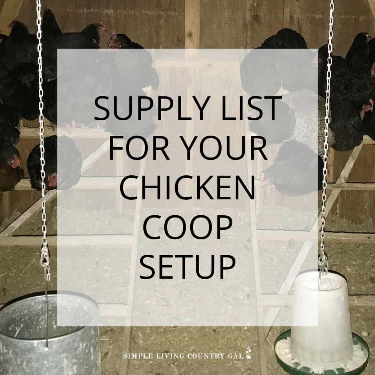 Chicken Coop shed essentials