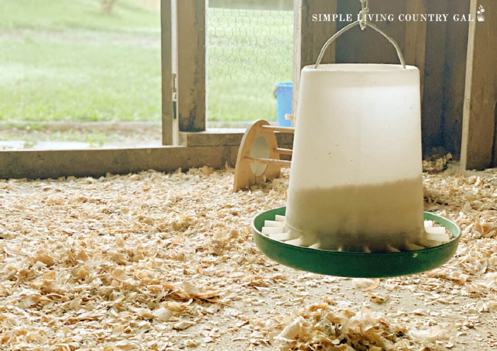 A plastic chicken feeder hanging inside of a chicken shed coop. 