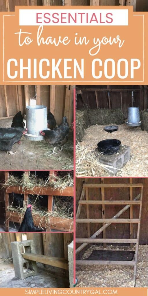 chicken coop shed essentials. 