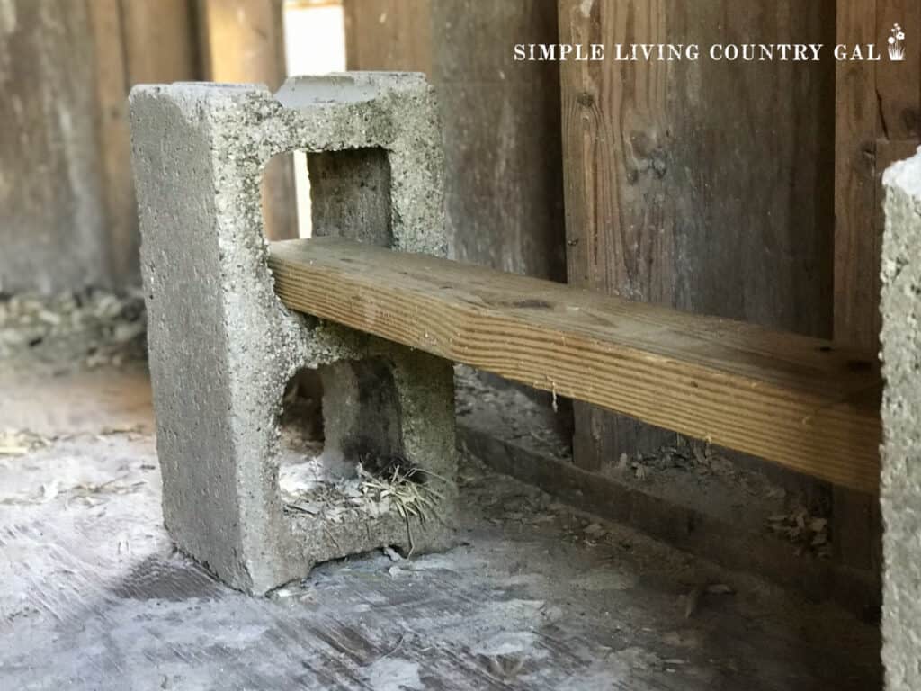 two cinder blocks standing vertically with a 2x4 in the top hole for a DIY chicken roost. 