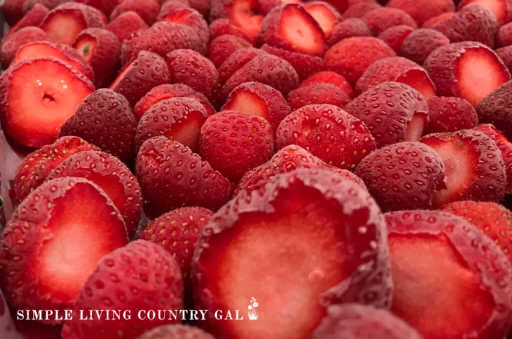 a layer of fresh cleaned strawberries