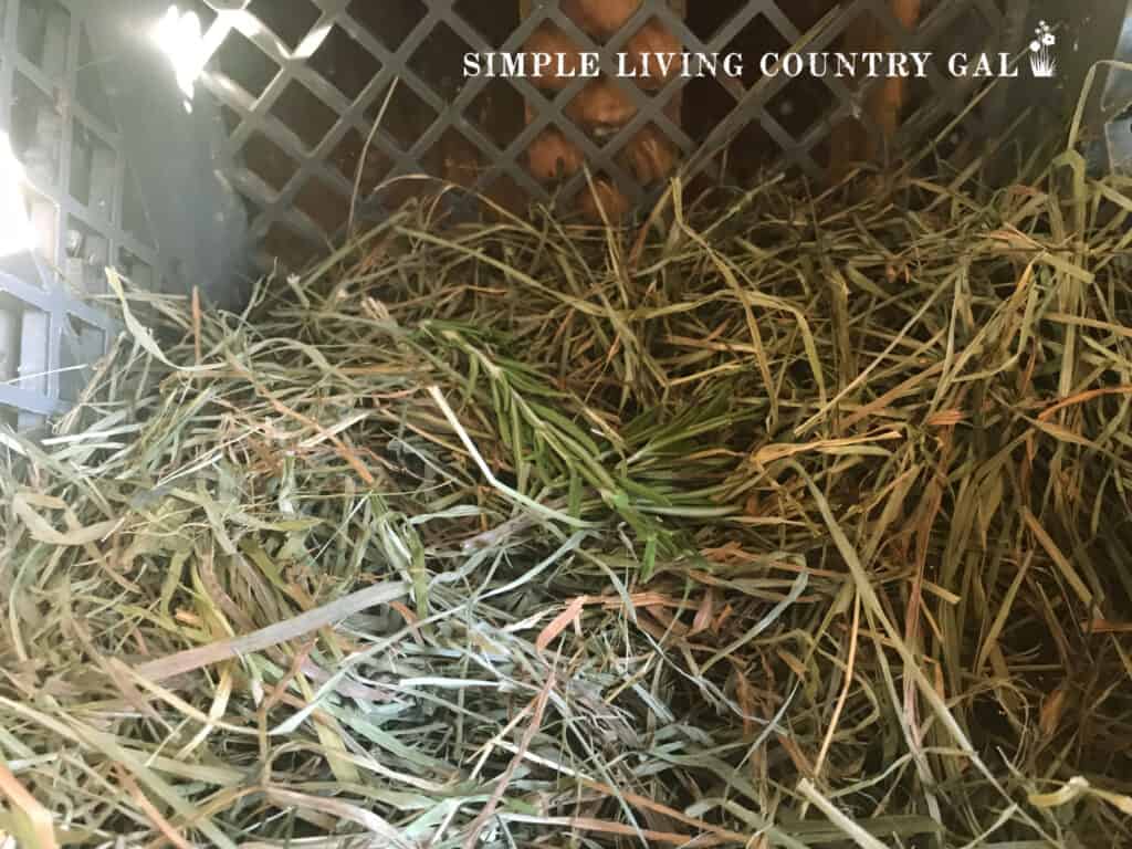 a sprig of herbs lying in a chicken nesting box