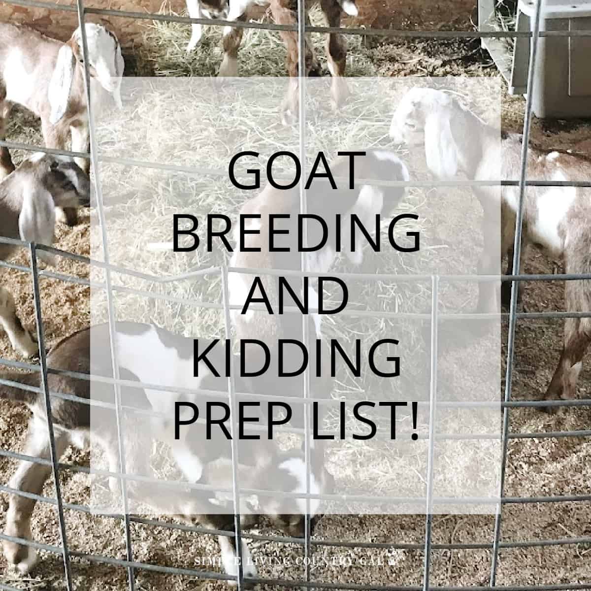 Goat Breeding And Goat Kidding | Simple Living Country Gal