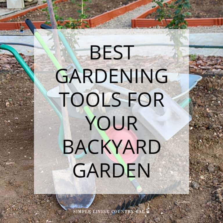 Best Gardening Tools Needed to Grow and Amazing Vegetable Garden