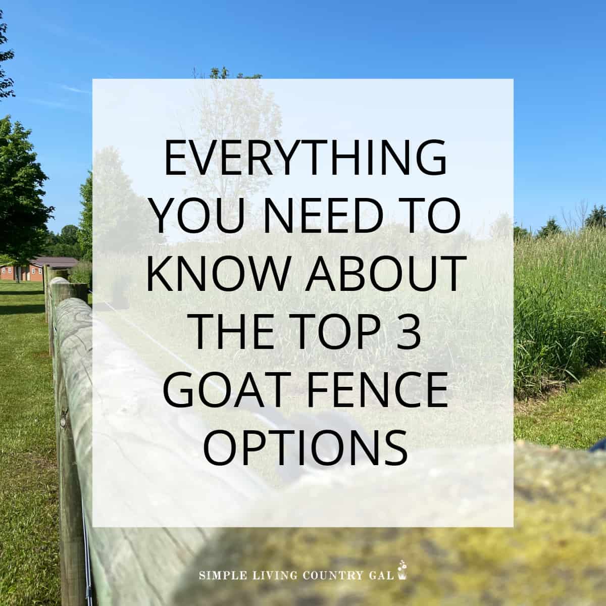 Goat Fencing 101, Everything You Need To Know | Simple Living Country Gal