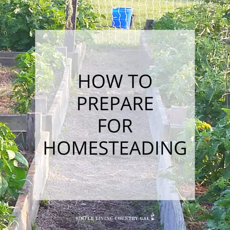 How to Prepare for Homesteading