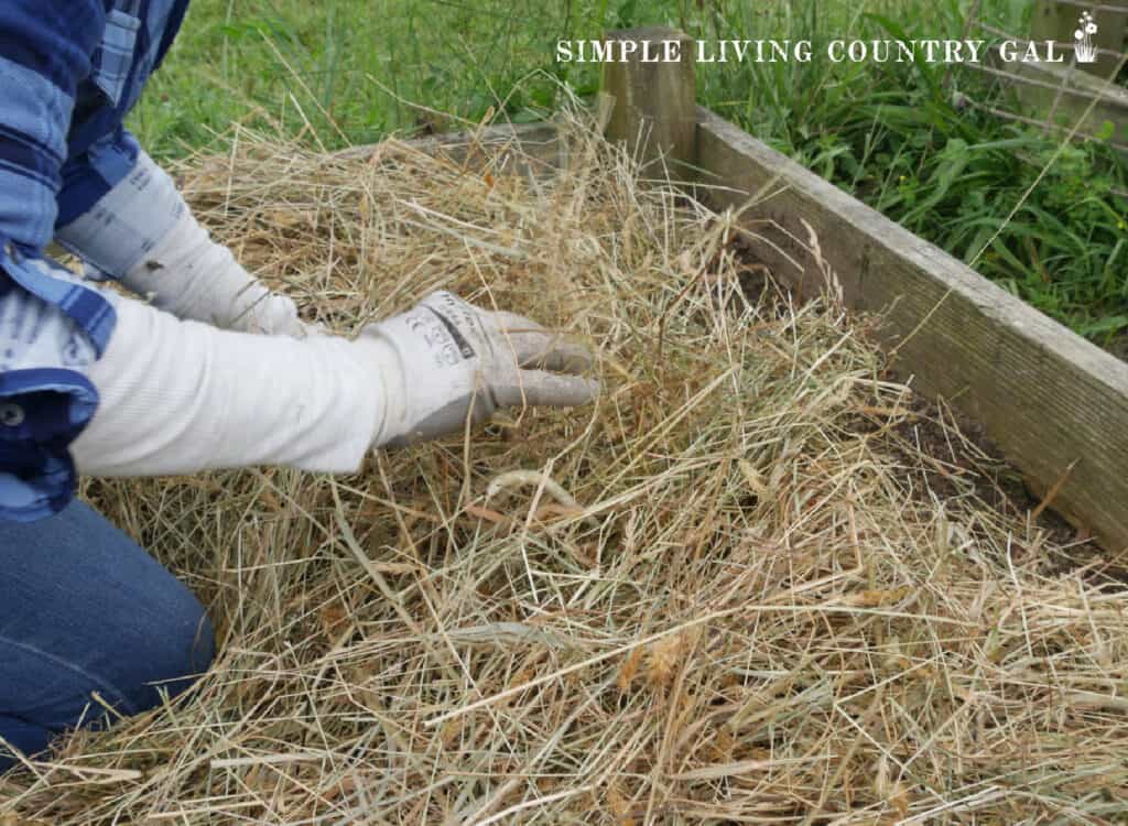 a set of hands mulching a garden with straw