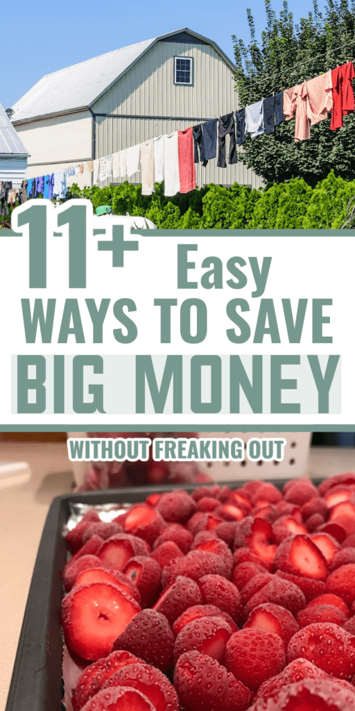 Frugal living for beginners