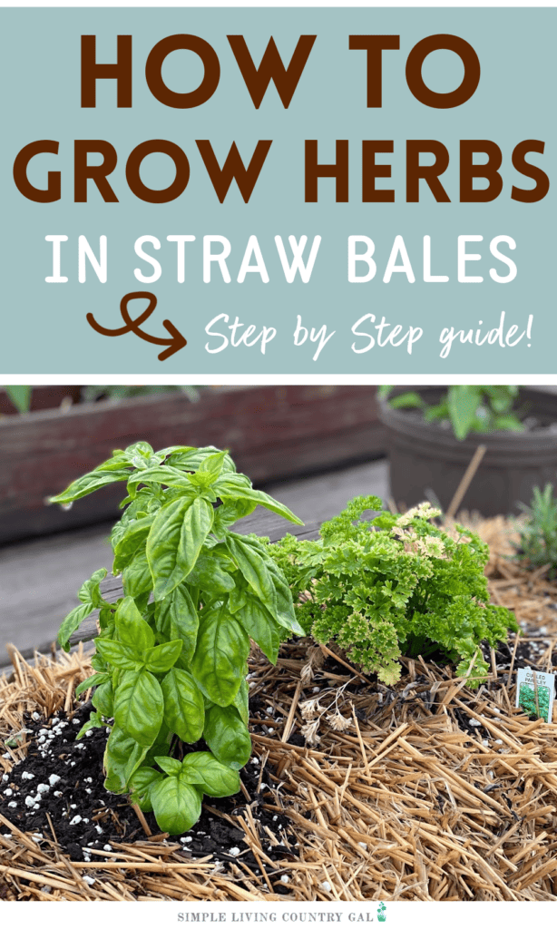 How to Grow Herbs in a Straw Bale