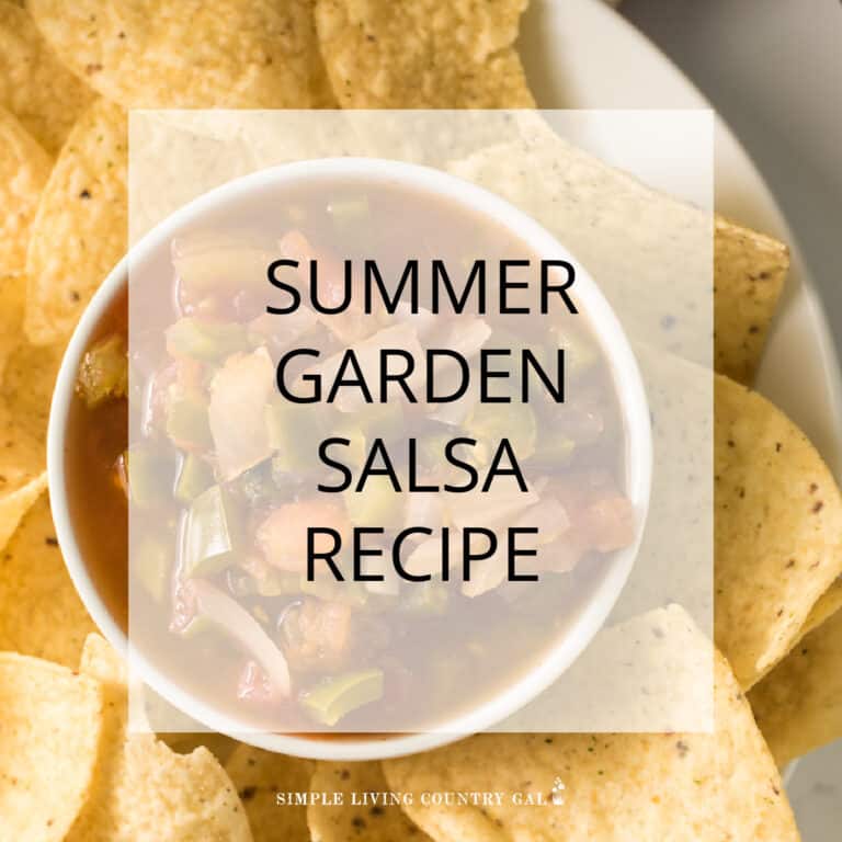 Garden Salsa Recipe