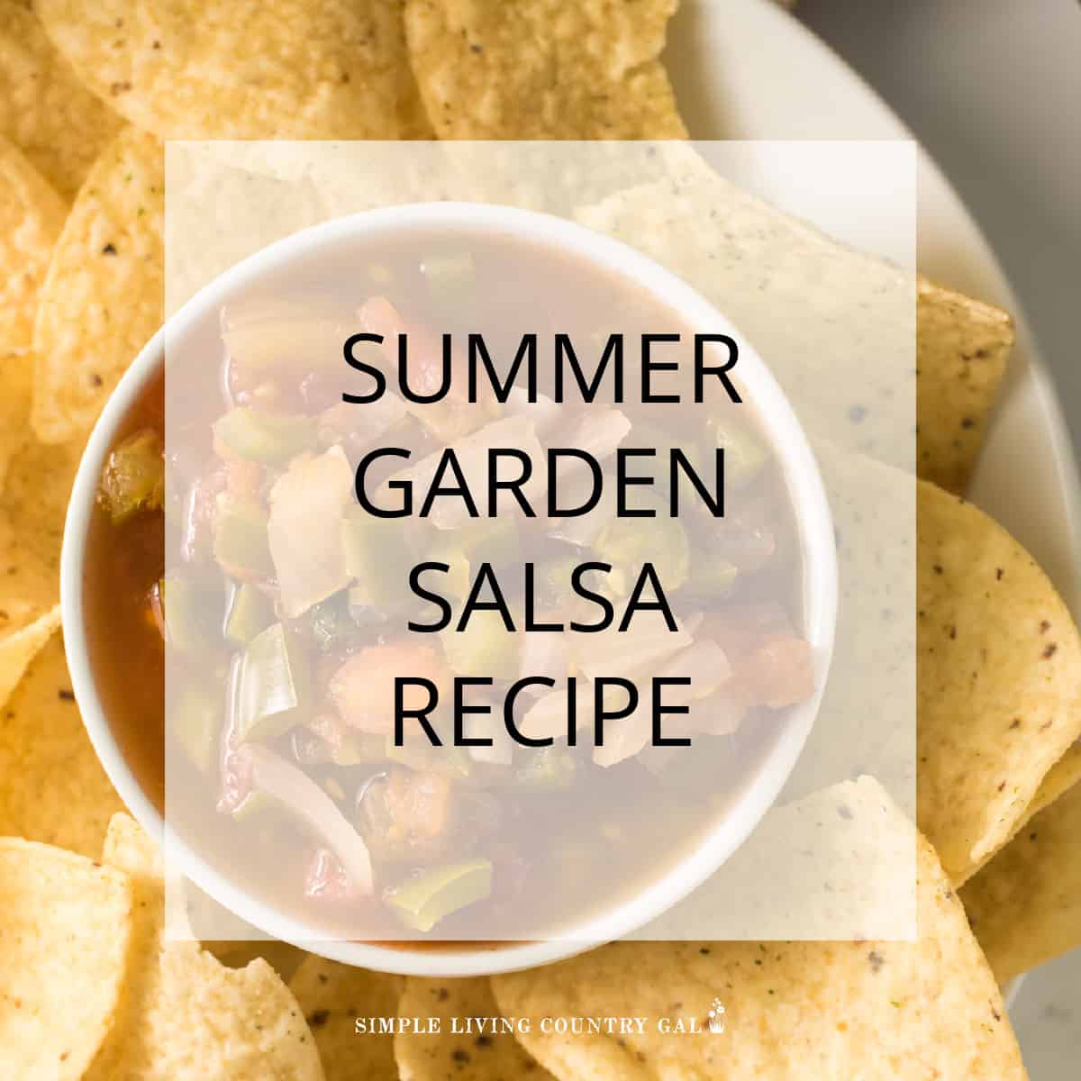 https://simplelivingcountrygal.com/wp-content/uploads/2023/06/GARDEN-SALSA-RECIPE.jpg