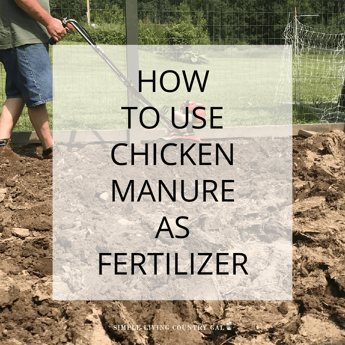 How to Use chicken manure fertilizer