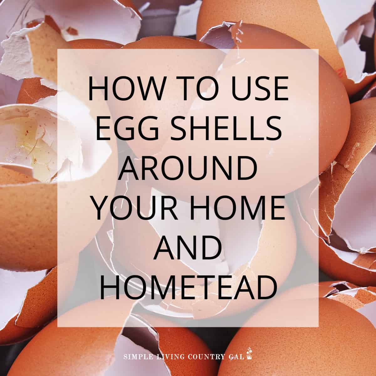 How to use Eggshells Simple Living Country Gal