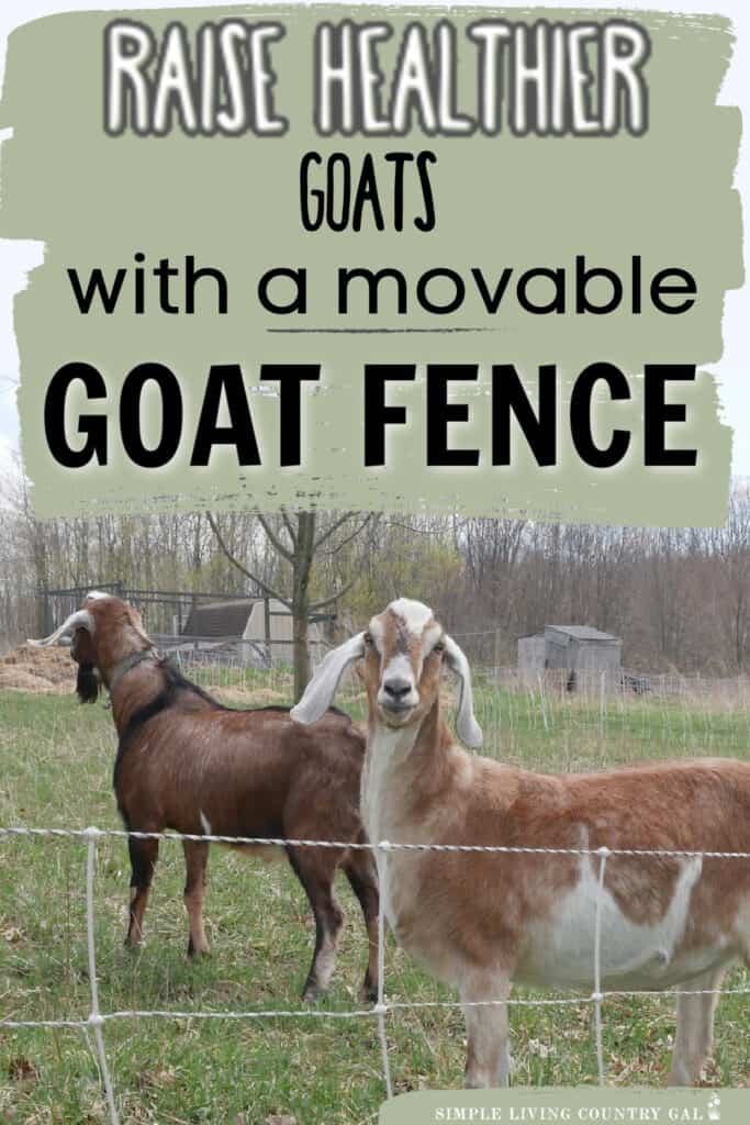 MOVABLE GOAT FENCE