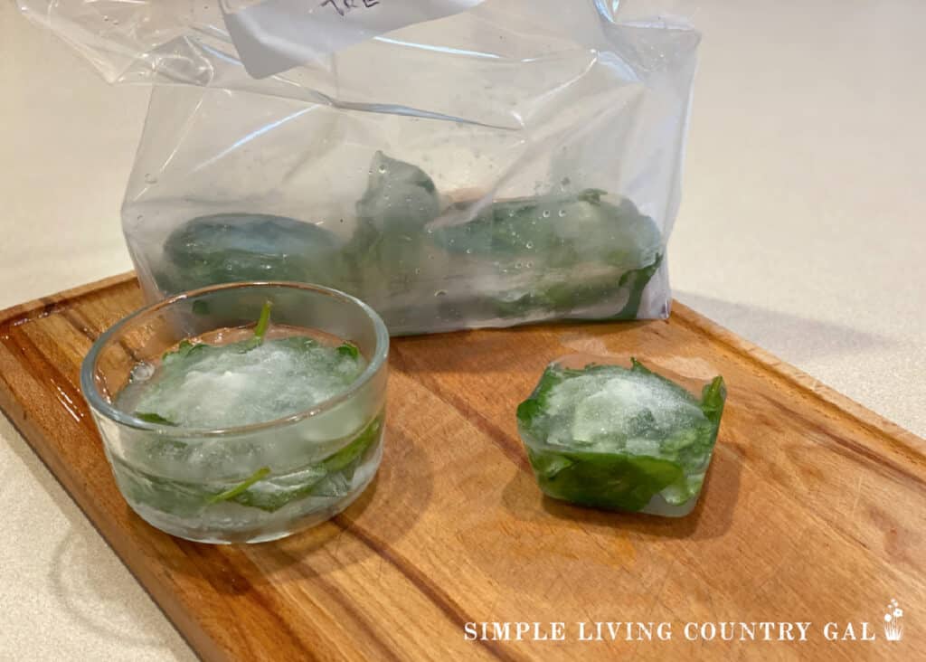 a freezer bag of frozen spinach cubes for chickens