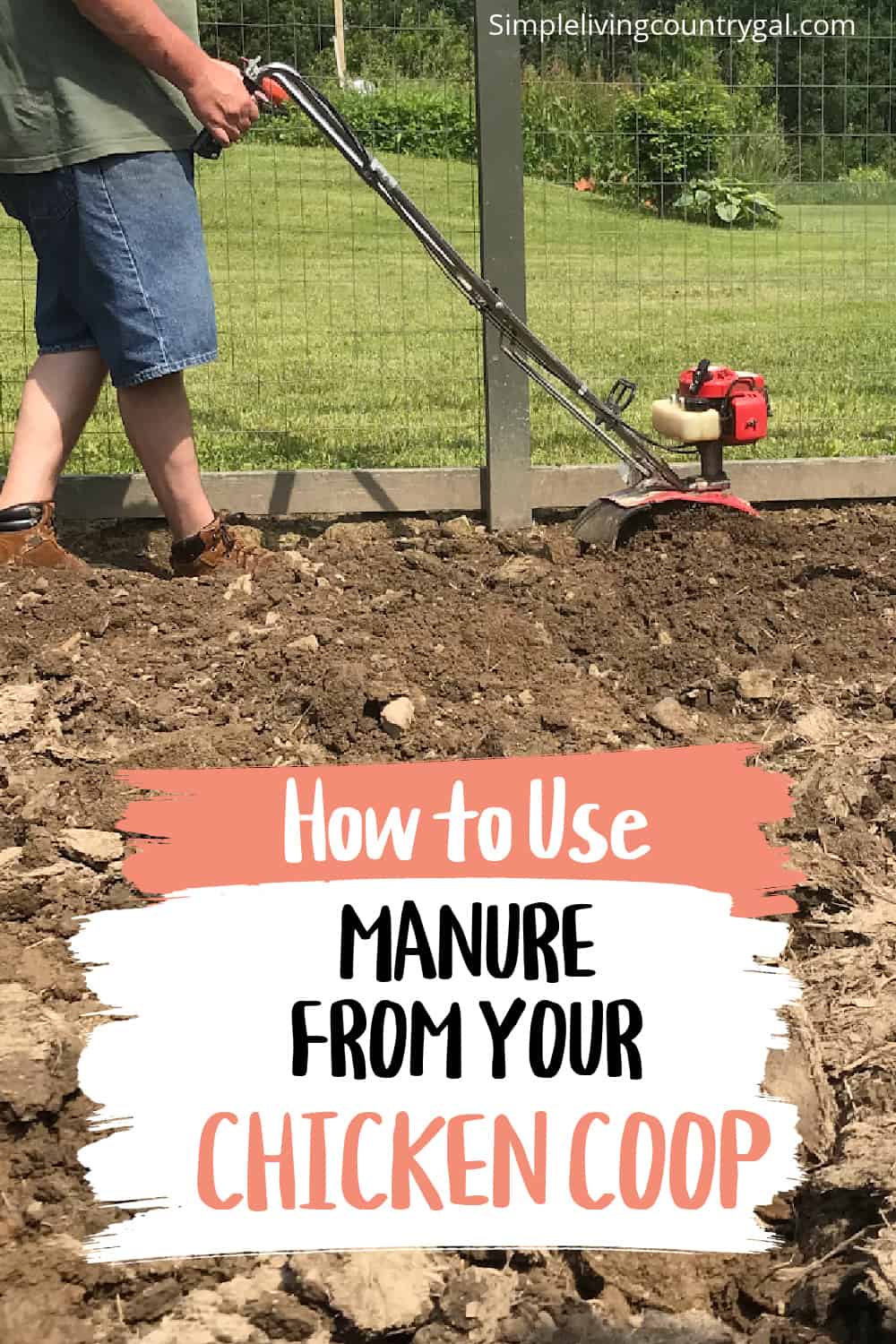 How to Use chicken manure as fertilizer Simple Living Country Gal