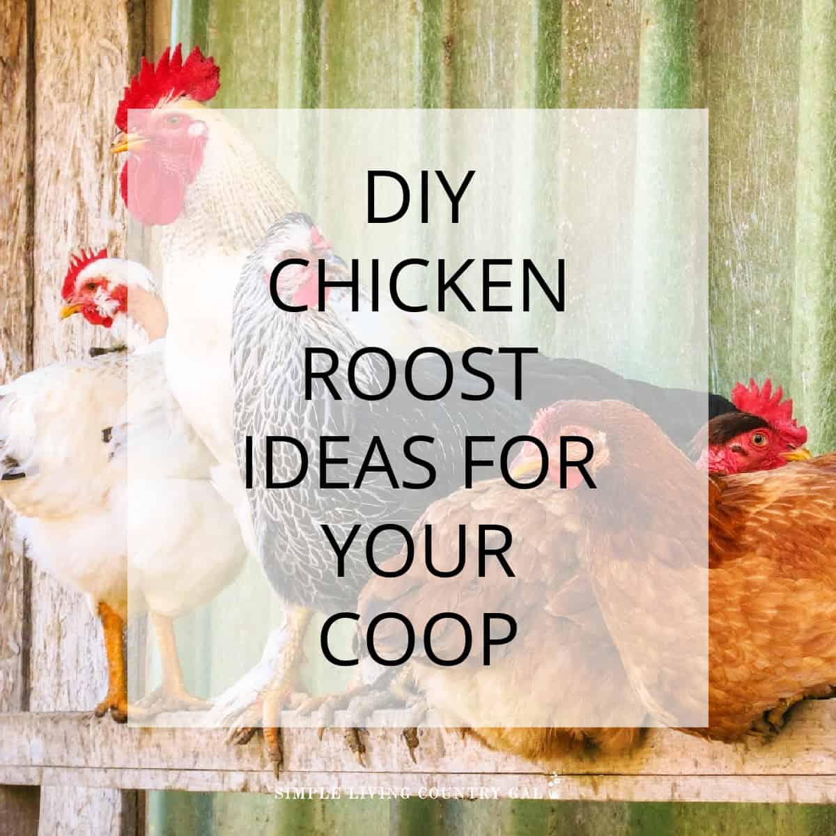 Chicken Perch Ideas Simple Living Country Gal