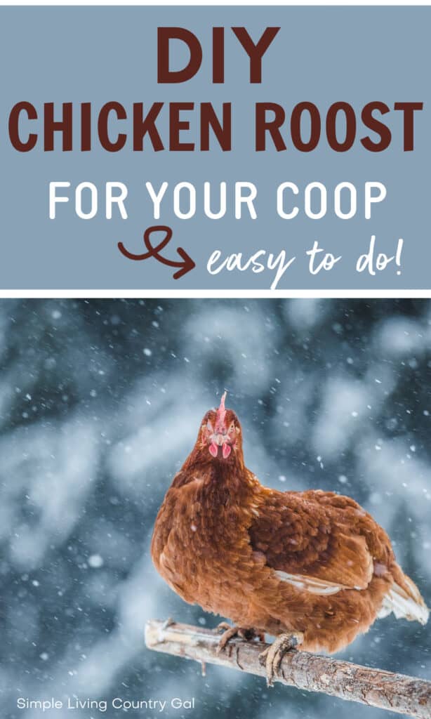 diy chicken roost ideas