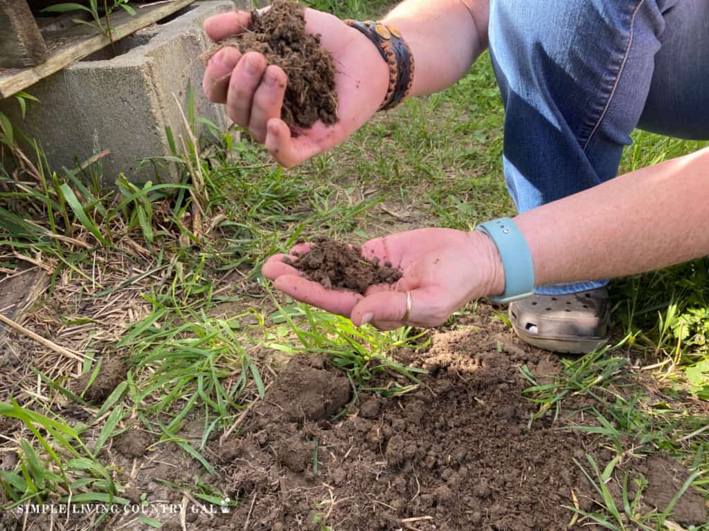 hands holding soil in a backyard garden