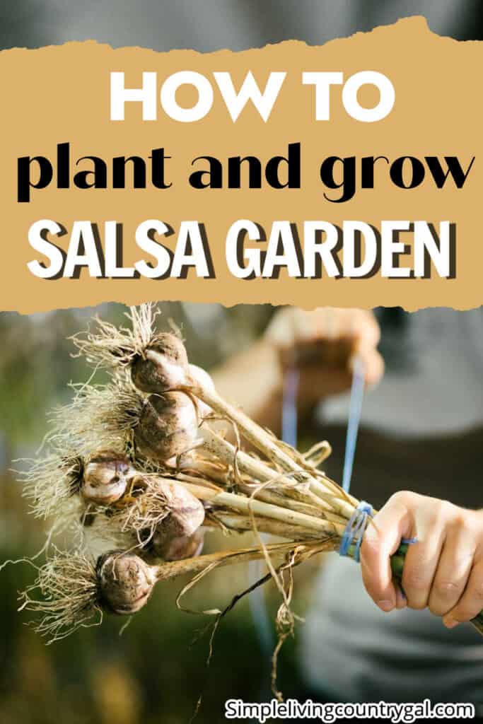 how to grow a salsa garden