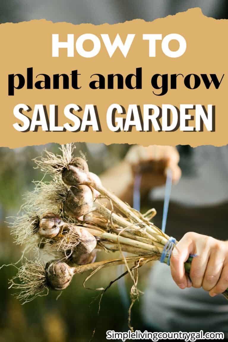 How to Grow a Salsa Garden | Simple Living Country Gal