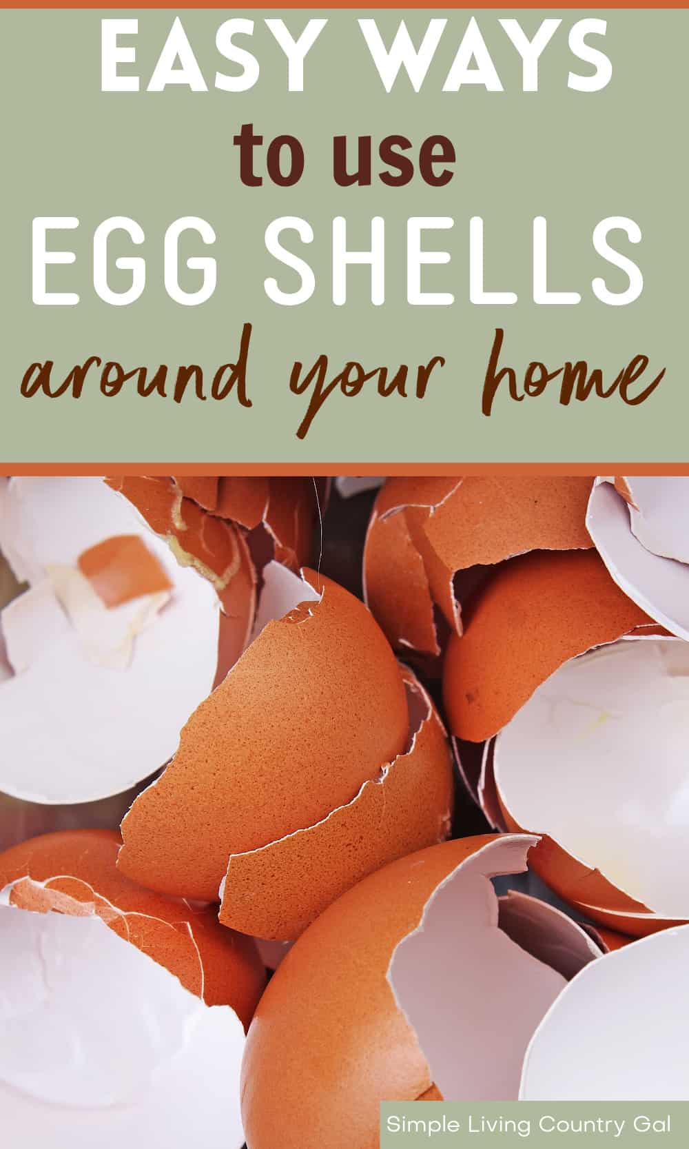 How to use Eggshells Simple Living Country Gal
