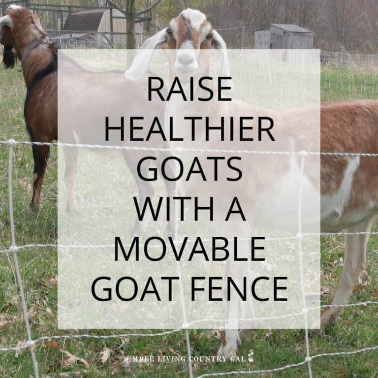 Movable Goat Fence