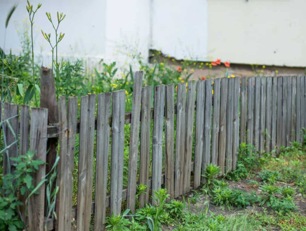 pallet board fence for goats