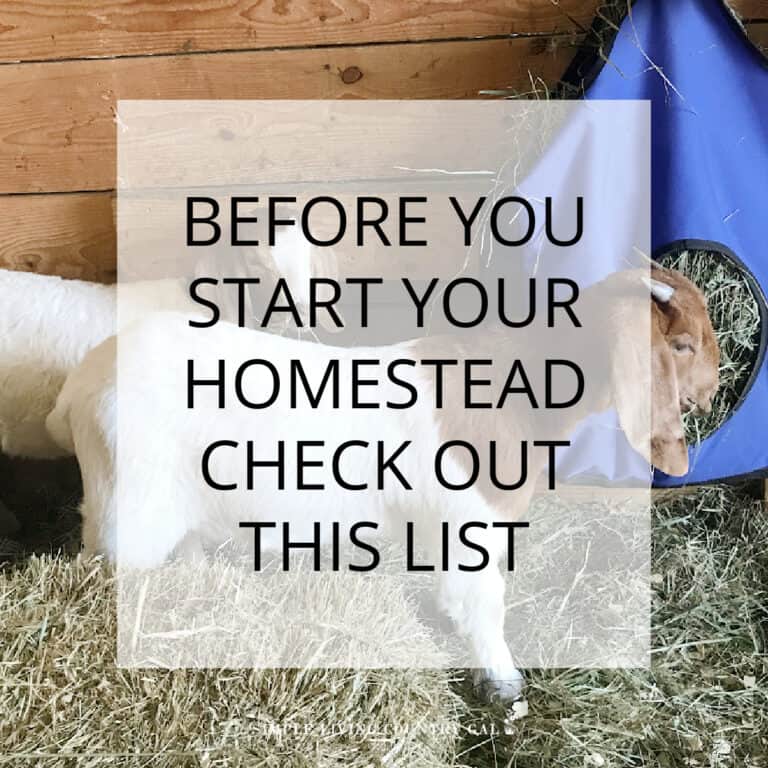 Checklist for starting a homestead
