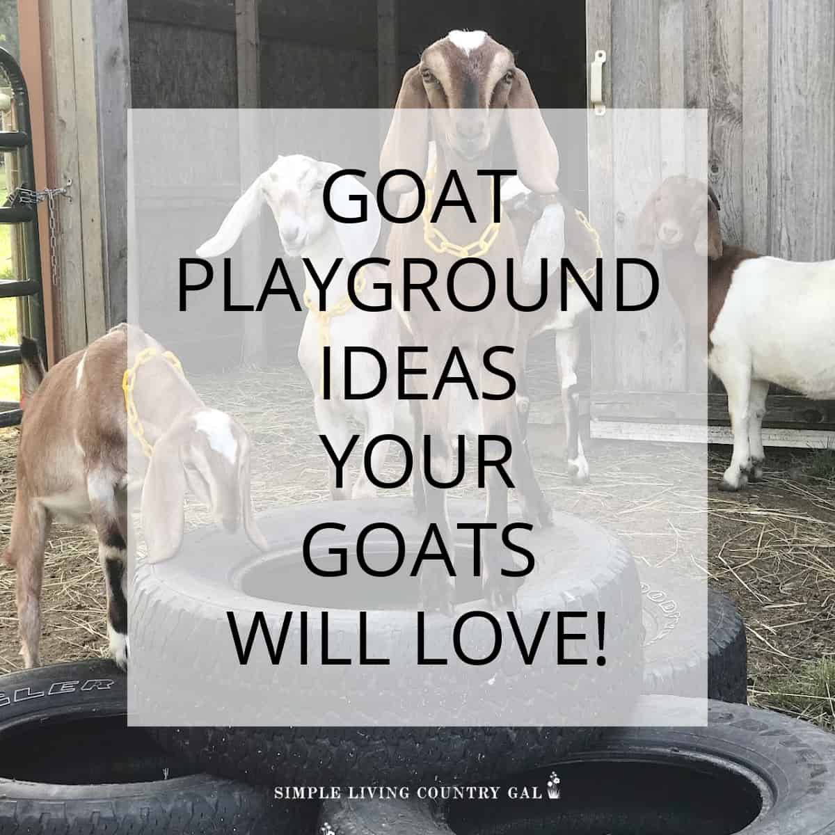 Wooden Spools For Goat Playground, Livestock