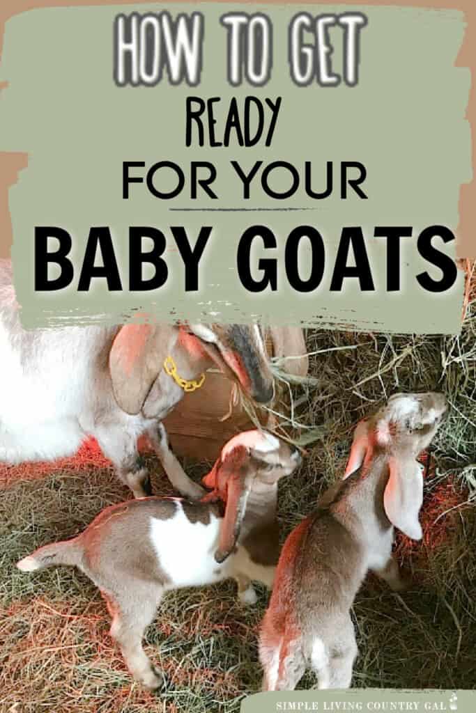 HOW TO PREPARE FOR BABY GOATS
