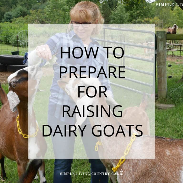 how to prepare for goats