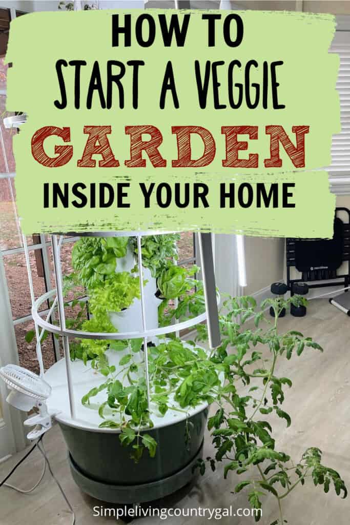 How to start a vegetable garden indoors