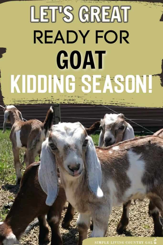 HOW TO PREPARE FOR GOAT KIDDING