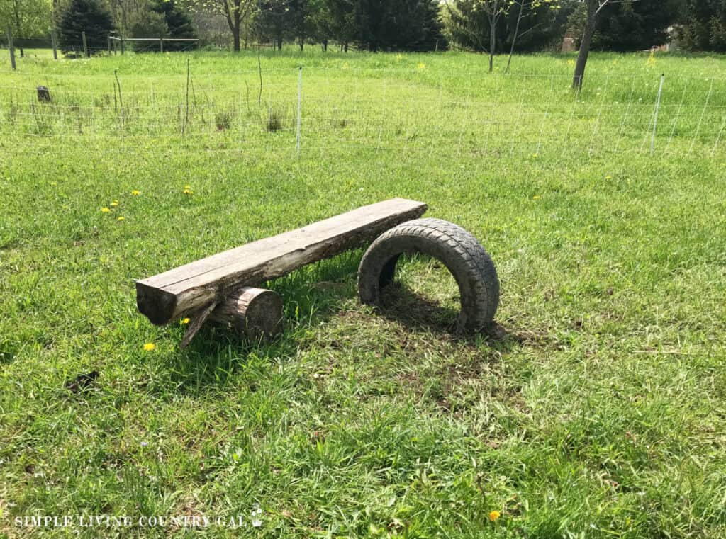 a bench with a tire nearby for goats to climb on