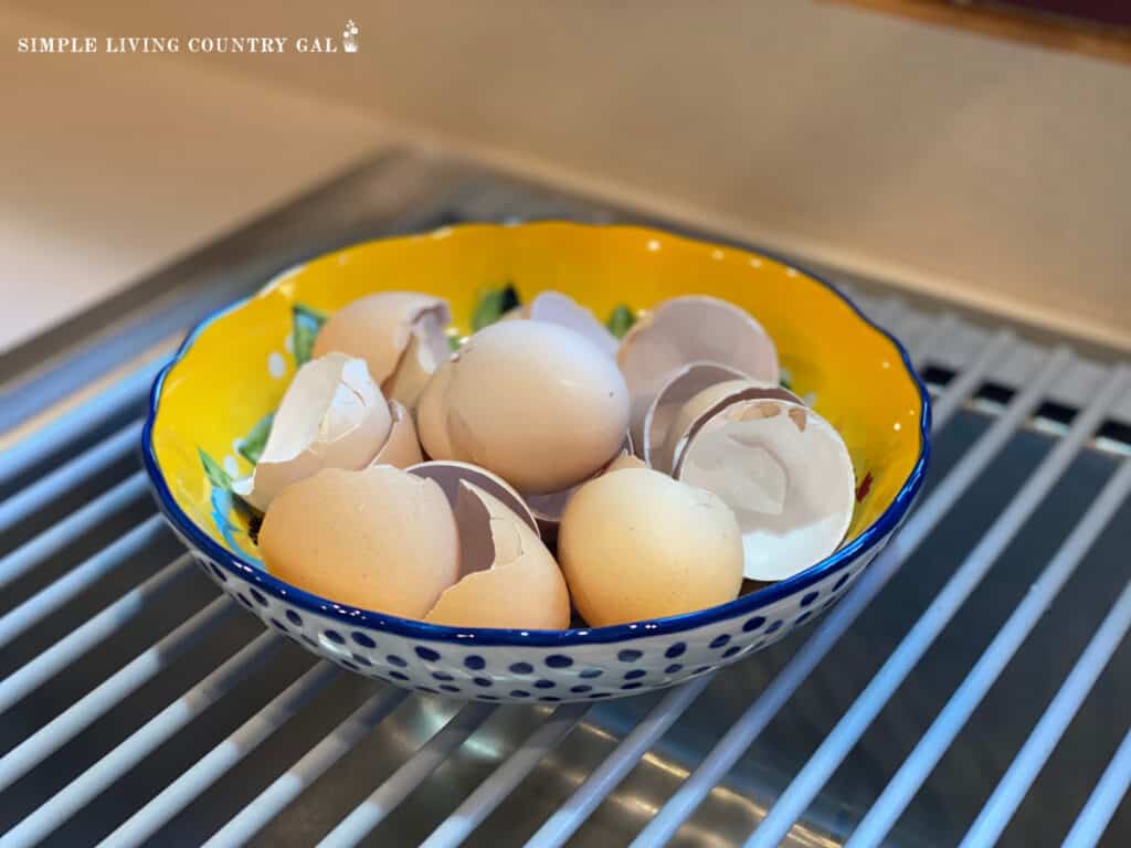 a bowl of cleaned egg shells