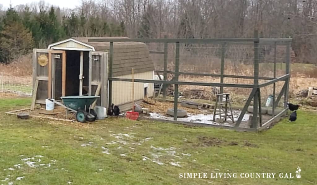 a chicken coop being cleaned out green wheelbarrow in front