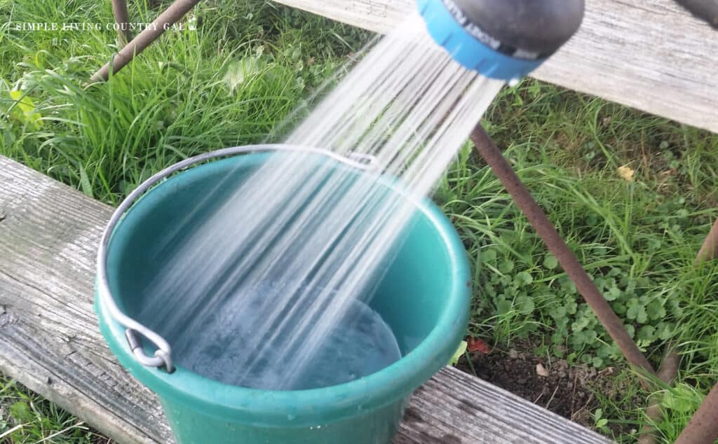 a hose filling a bucket of water for goats
