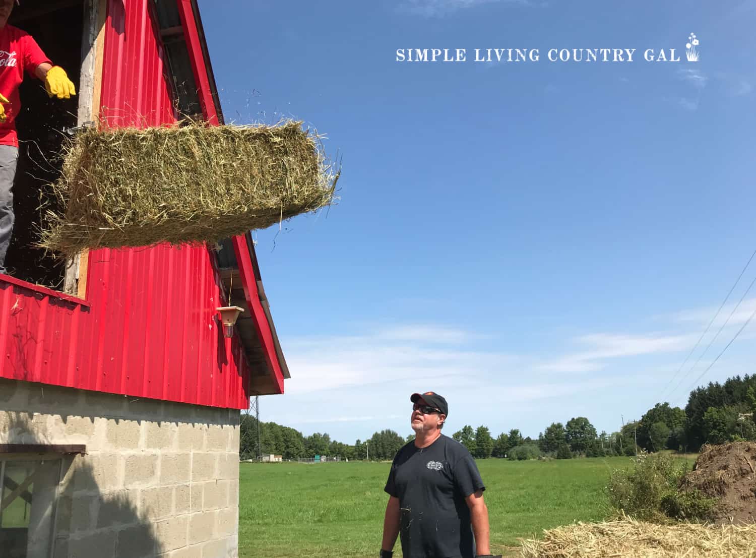 WHAT HAY dO GOATS EAT? Simple Living Country Gal