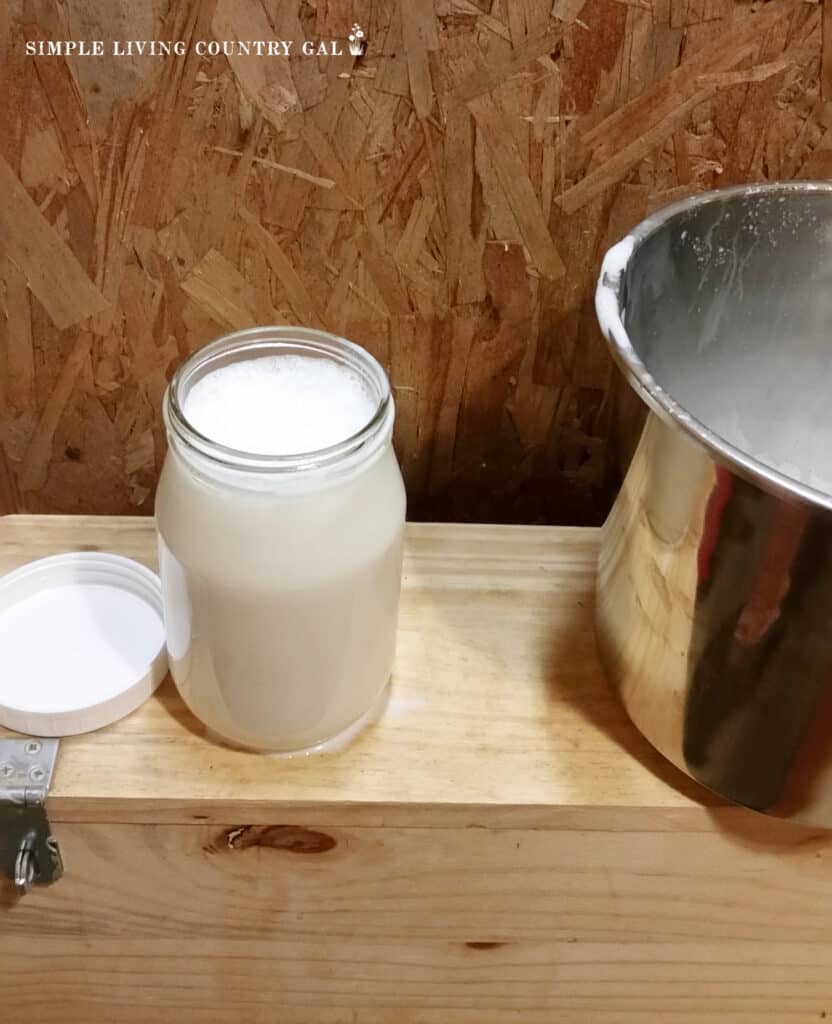 a mason jar of milk next to a milking pail in a goat barn