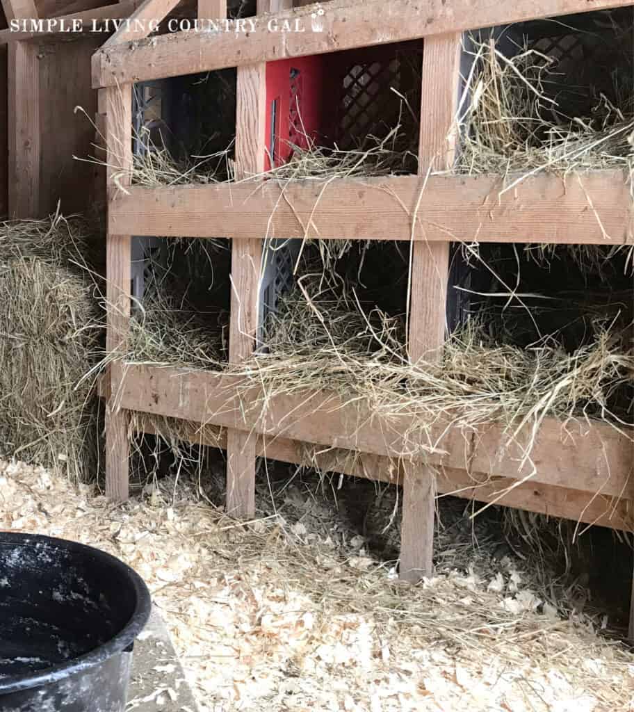 a set of 6 nesting boxes inside of a chicken coop